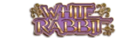 White Rabbit